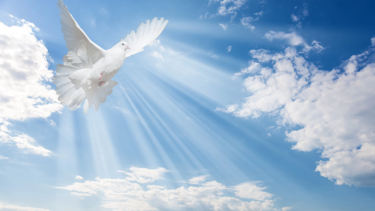 Un musulman peut-il être baptisé?